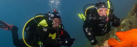 DRY SUIT
