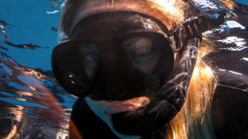 Snorkel